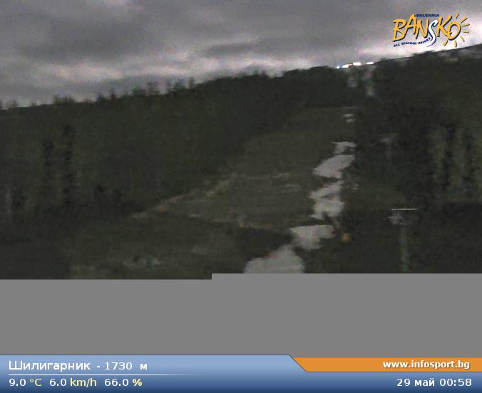 Livecam 3