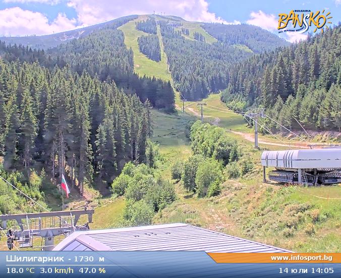Livecam 3