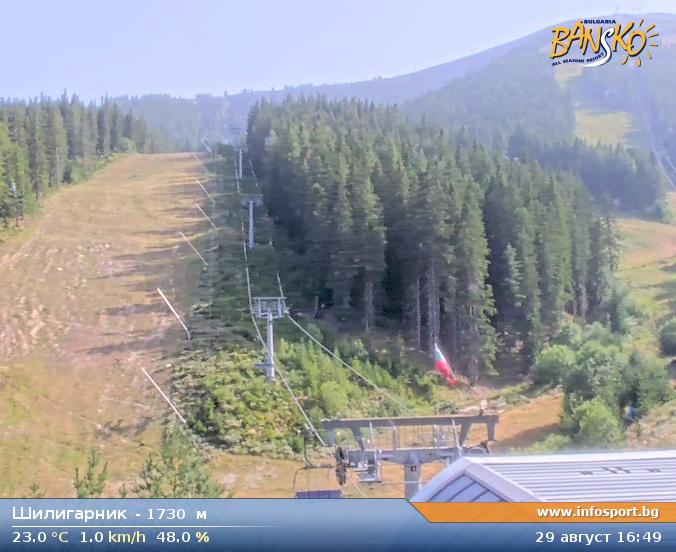 Livecam 3