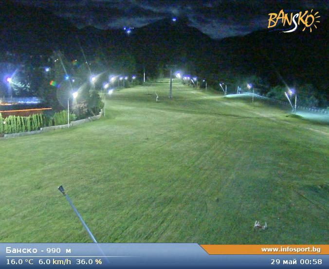 Livecam 5