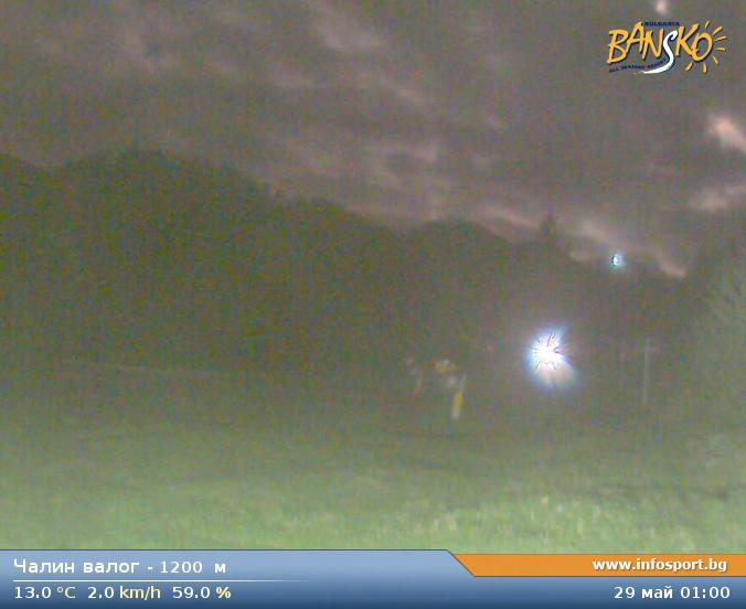 Livecam 6